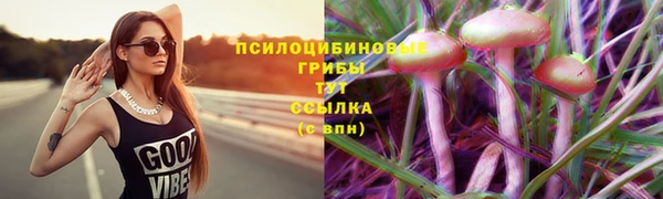амф Алзамай