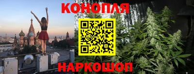 прущие грибы Ипатово