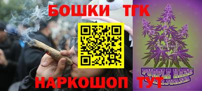 молекула духа Заводоуковск