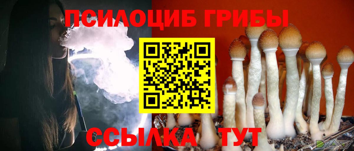 Галлюциногенные грибы GOLDEN TEACHER Коркино