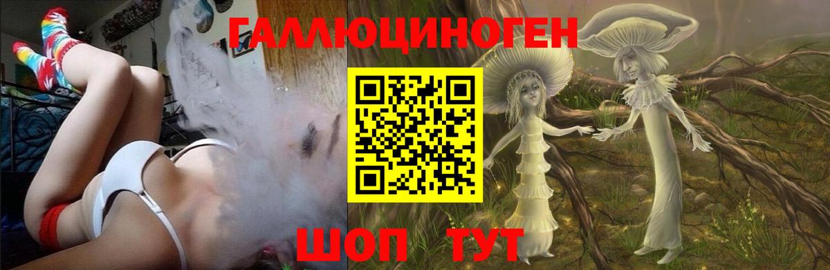 где купить наркотик  Вход с VPN  Псилоцибиновые грибы Psilocybine cubensis  Коркино  Псилоцибиновые грибы GOLDEN TEACHER 