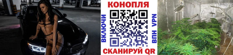 blacksprut ссылки как найти Коркино площадка телеграм Канабис индика